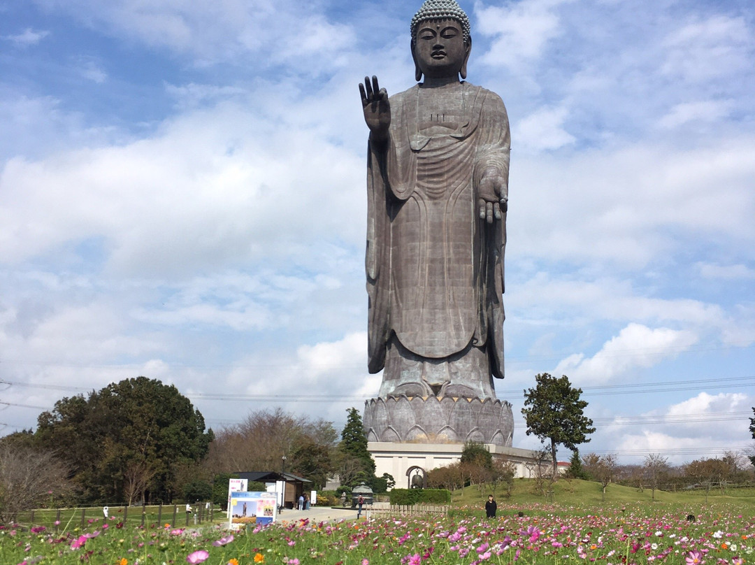 Ushiku Daibutsu-牛久市必去景点