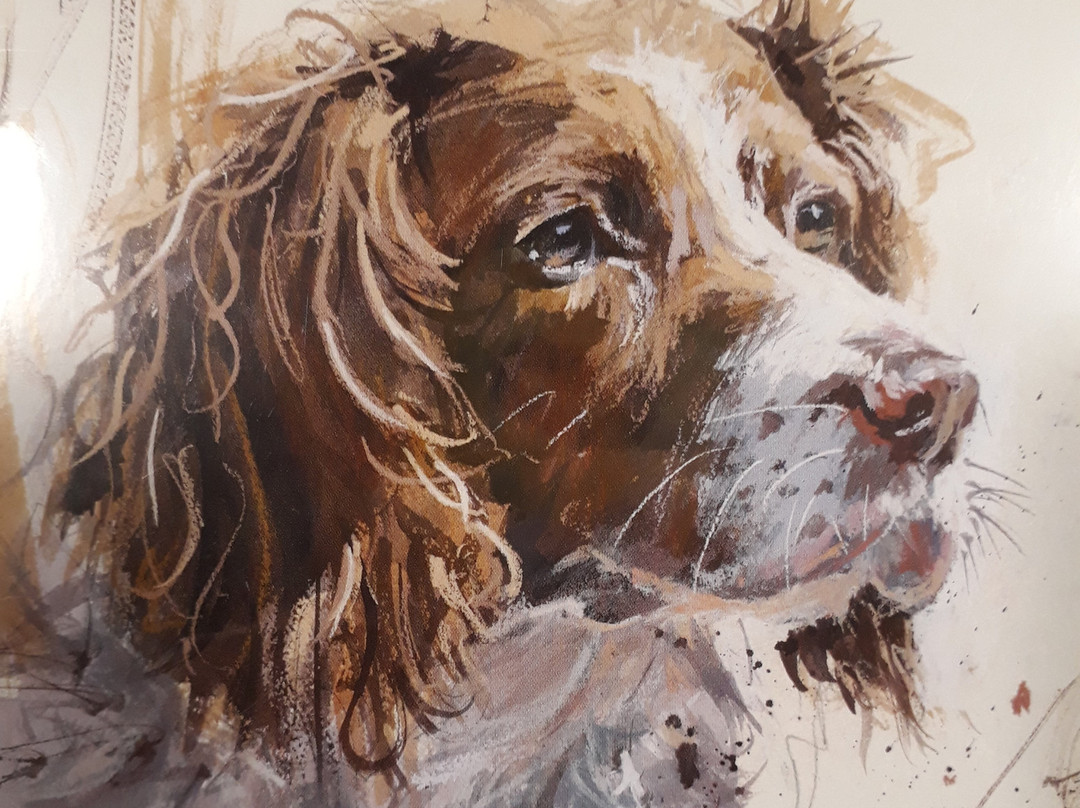 House of Gozo-Victoria必去景点