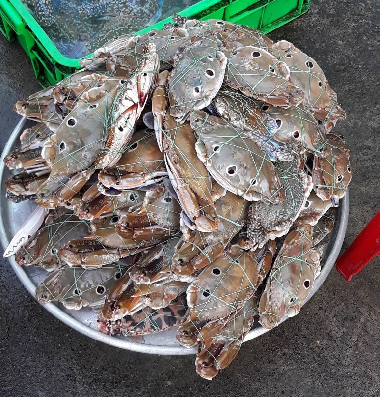 Xom Luoi Market-头顿必去景点