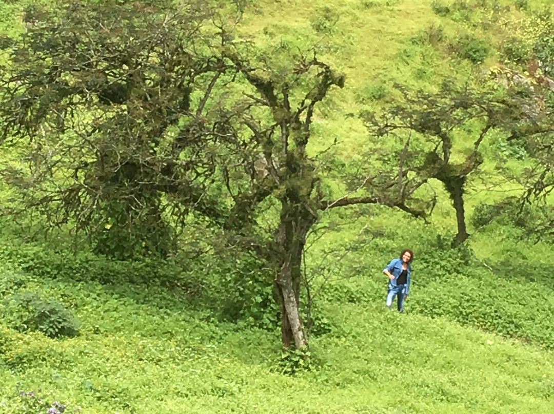 Lomas de Asias-利马必去景点