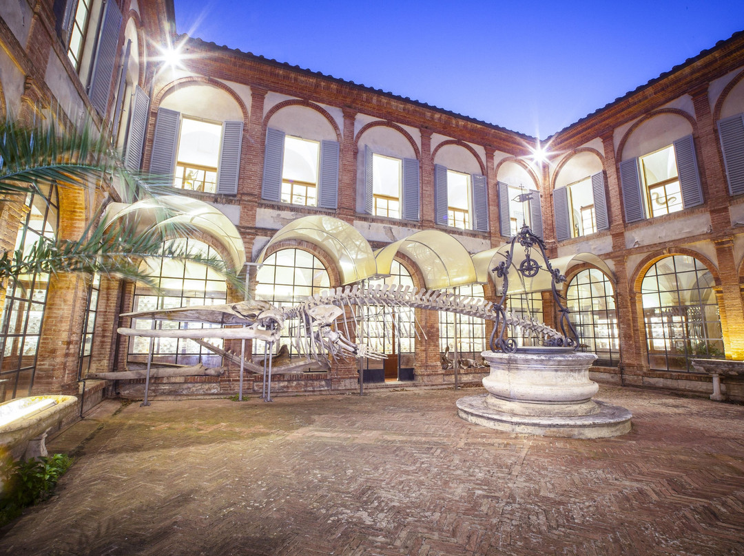 Museo di Storia Naturale dell'Accademia dei Fisiocritici