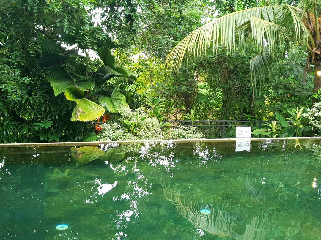 The Legend Khayangan主图