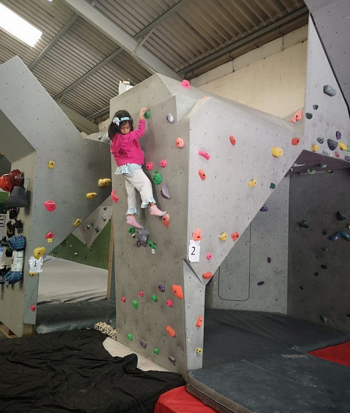 Valley Crag indoor climbing centre-伊丽莎白港必去景点