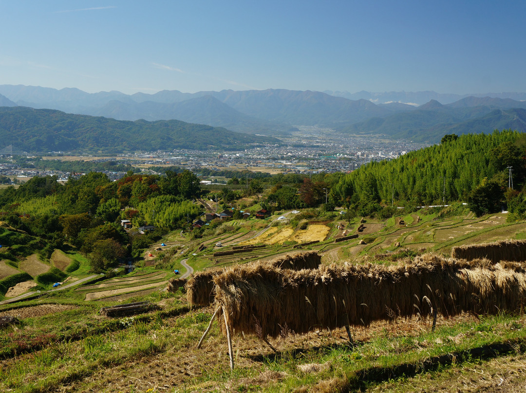 Inagura Rice Terraces景点图片