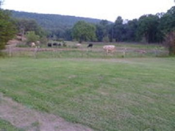 Lost River Grill, Motel and Bed & Breakfast主图