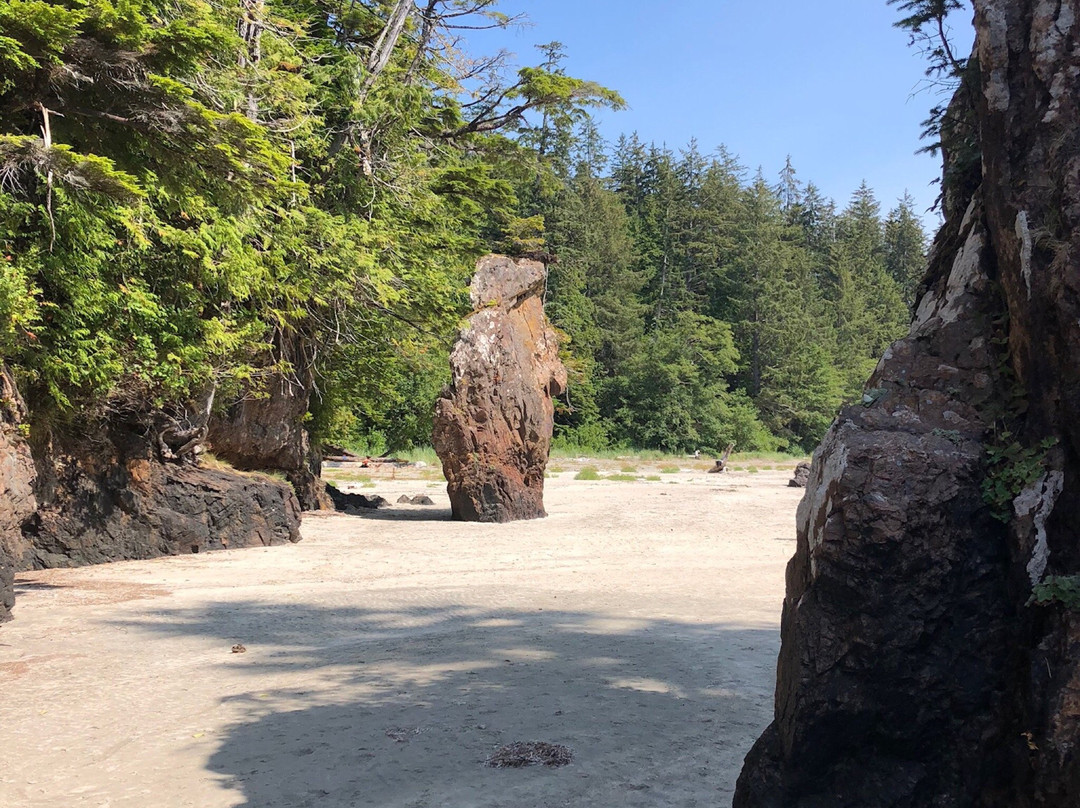 Cove Adventure Tours景点图片