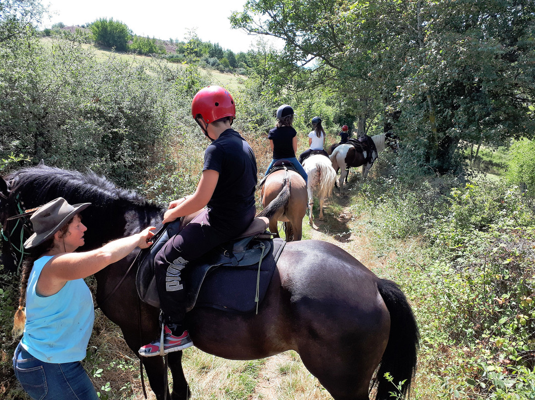 Cheval d'Azergues景点图片