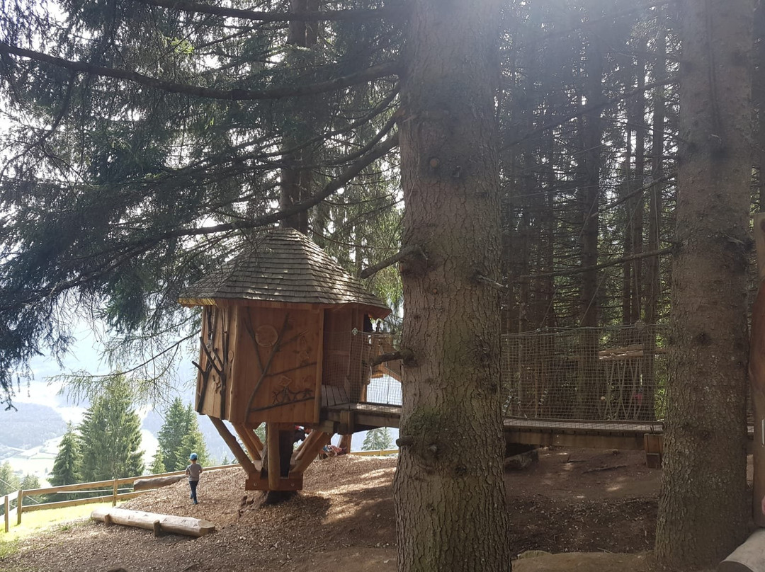 Stubai Baumhausweg景点图片