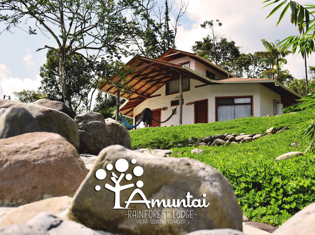 Amuntai Rainforest Lodge主图