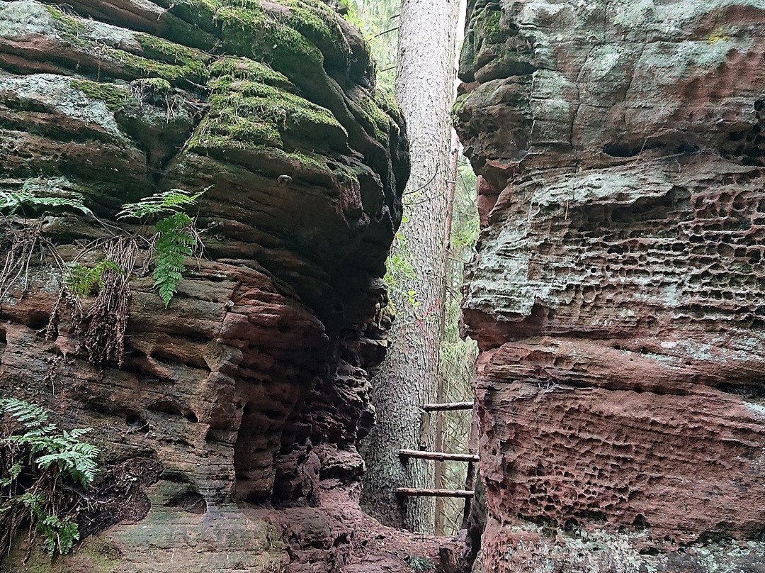 Dahner Felsenwanderweg-Dahn必去景点