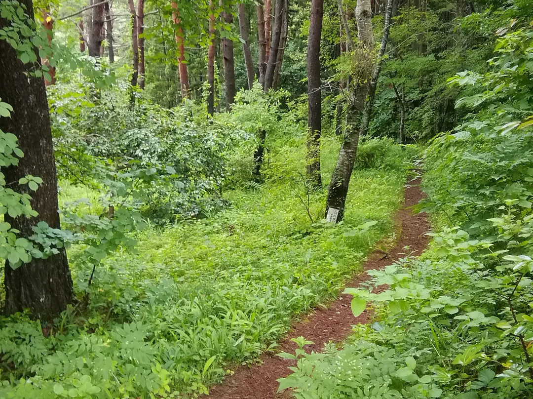 Hirotasaki-陆前高田市必去景点