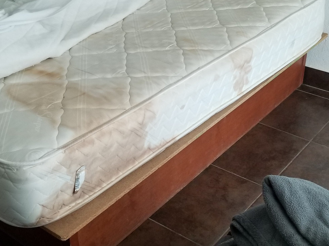 Hotel Real Tamasopo主图