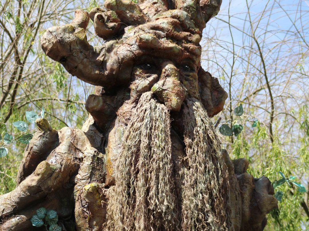 Bosque de los ENTS, Parque Recreativo y Turistico景点图片