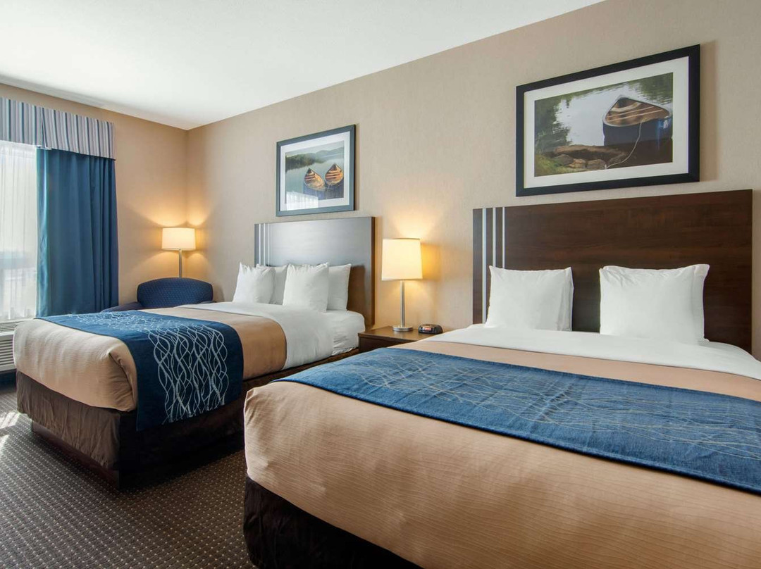 Comfort Inn & Suites主图