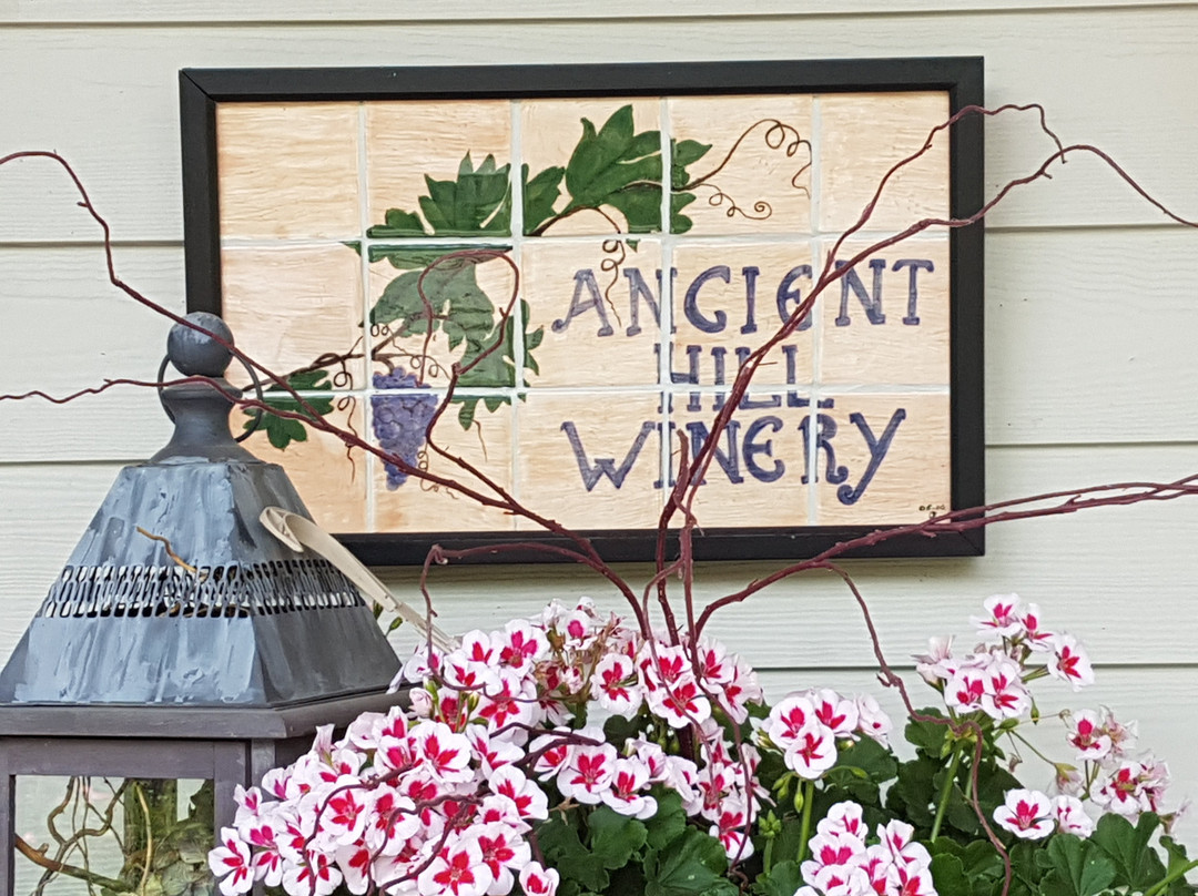 Savour the Okanagan Tours景点图片