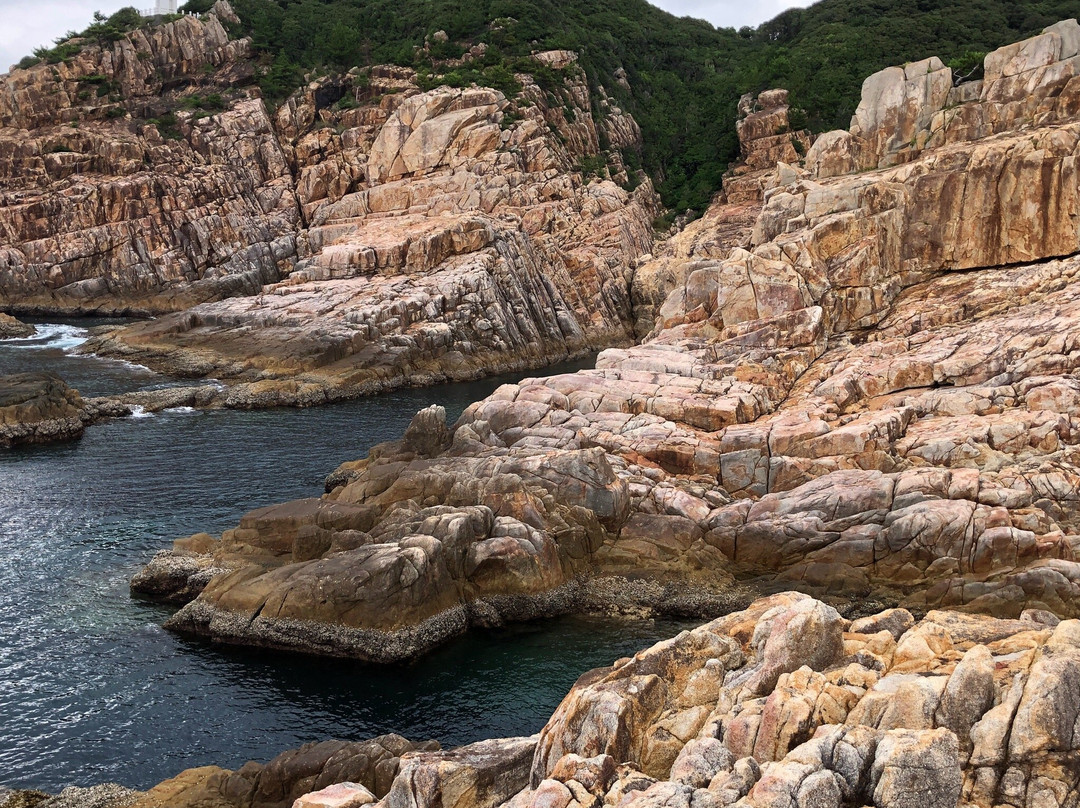 Ryugu Shrine-土佐清水市必去景点