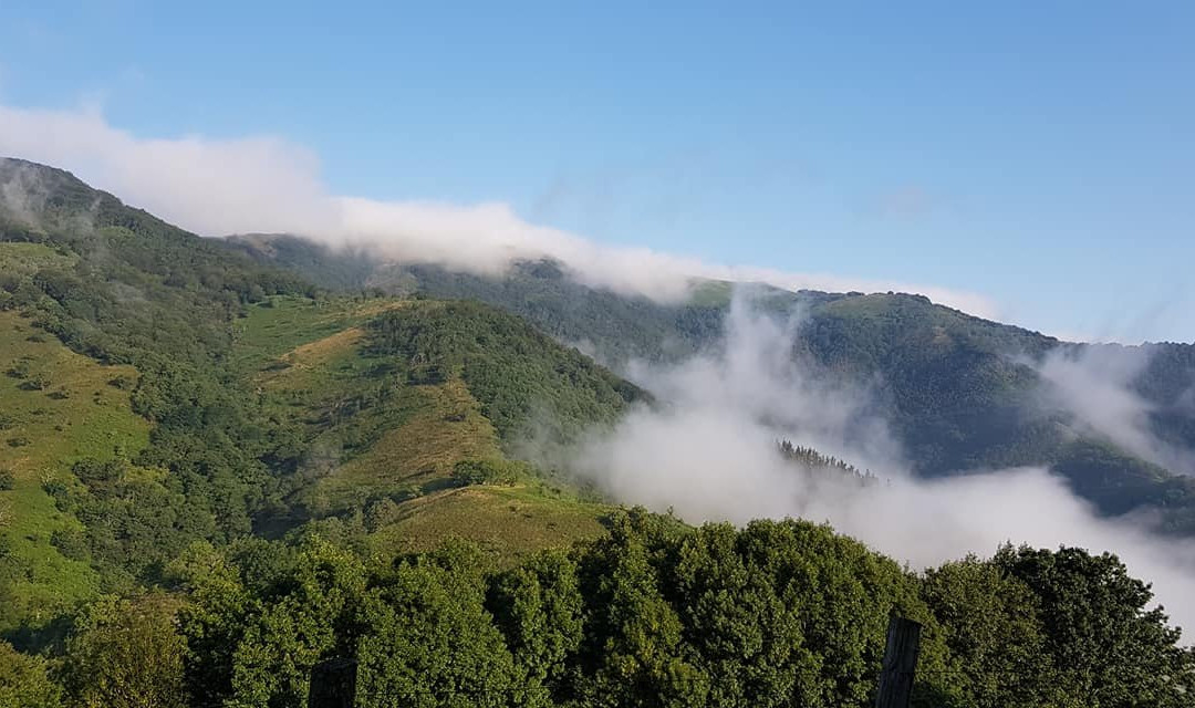 Arantza Hotela主图