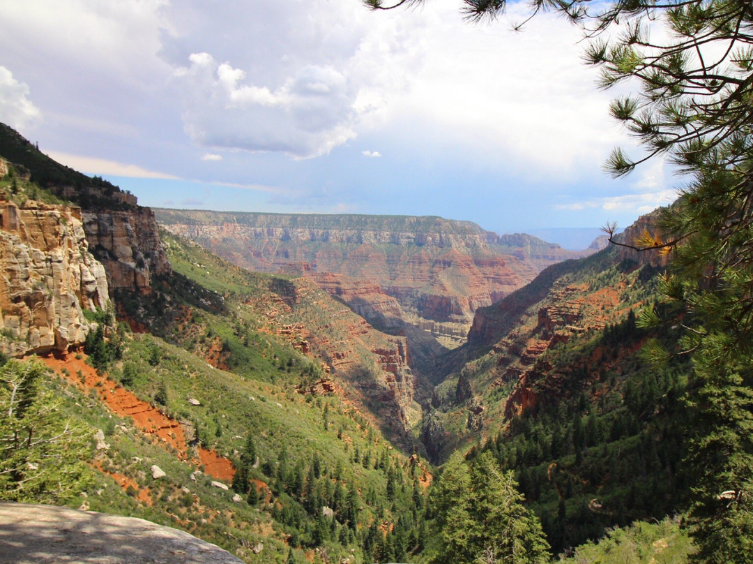 North Rim Campground主图