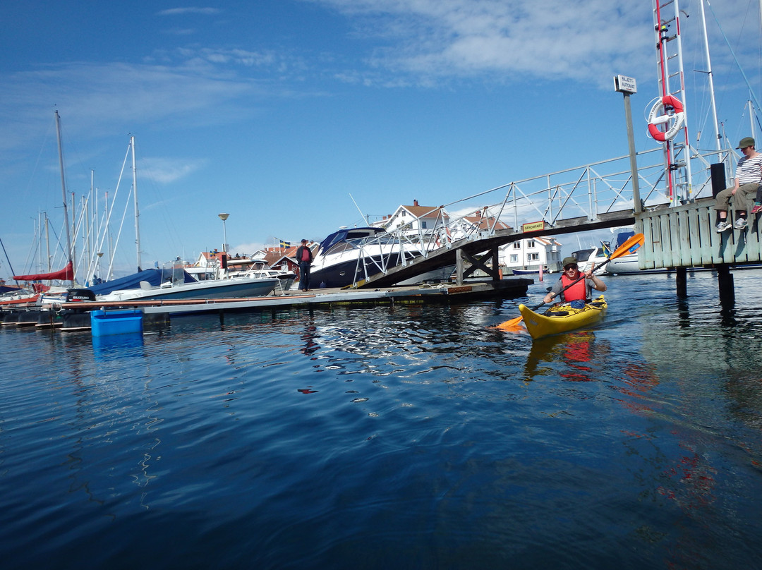 Kayak in Grundsund景点图片