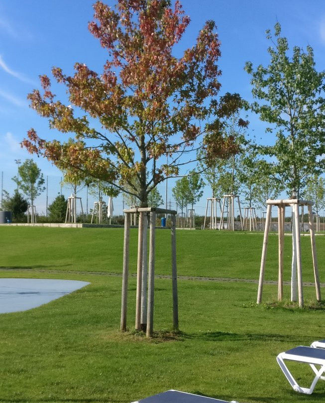 F3 Familien Und Freizeitbad-费尔巴赫必去景点