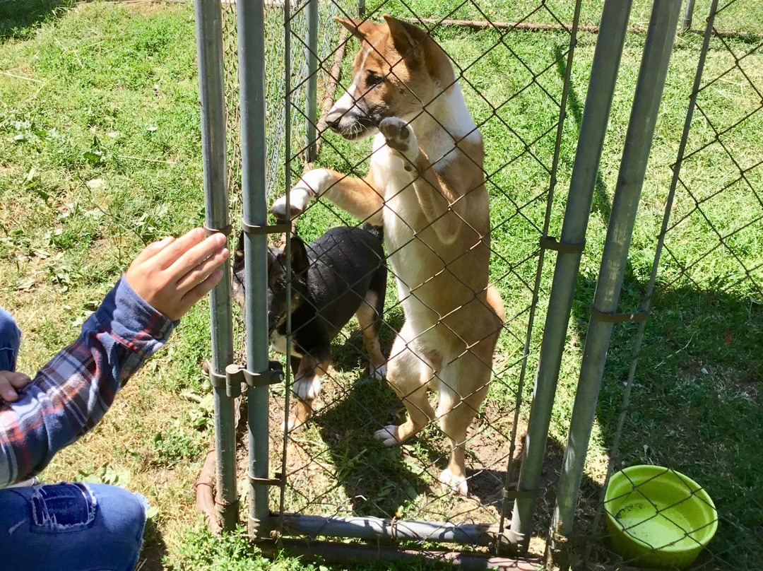 Bervie Zoological Park景点图片