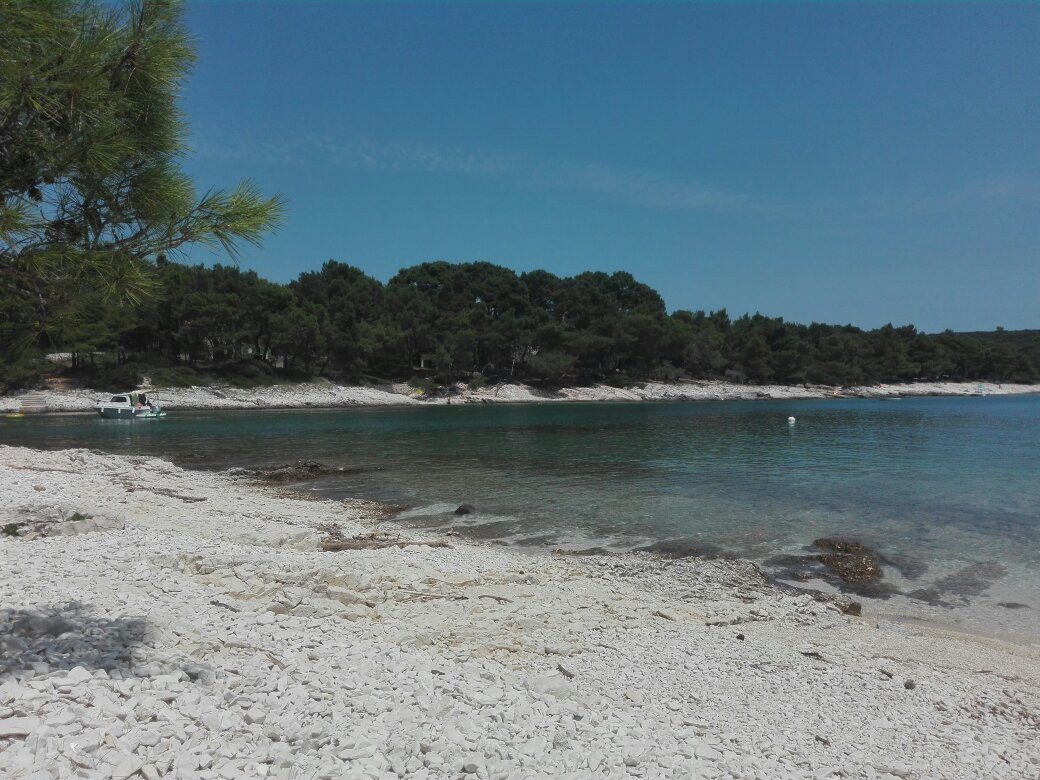 Zabodarski Beach景点图片