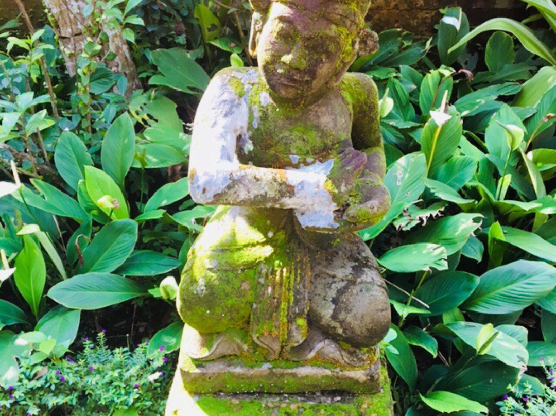 阿拉曼达精英之家别墅主图