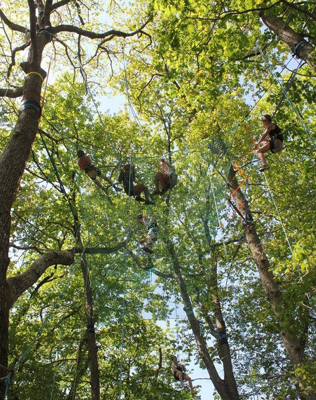 Infini Trees景点图片