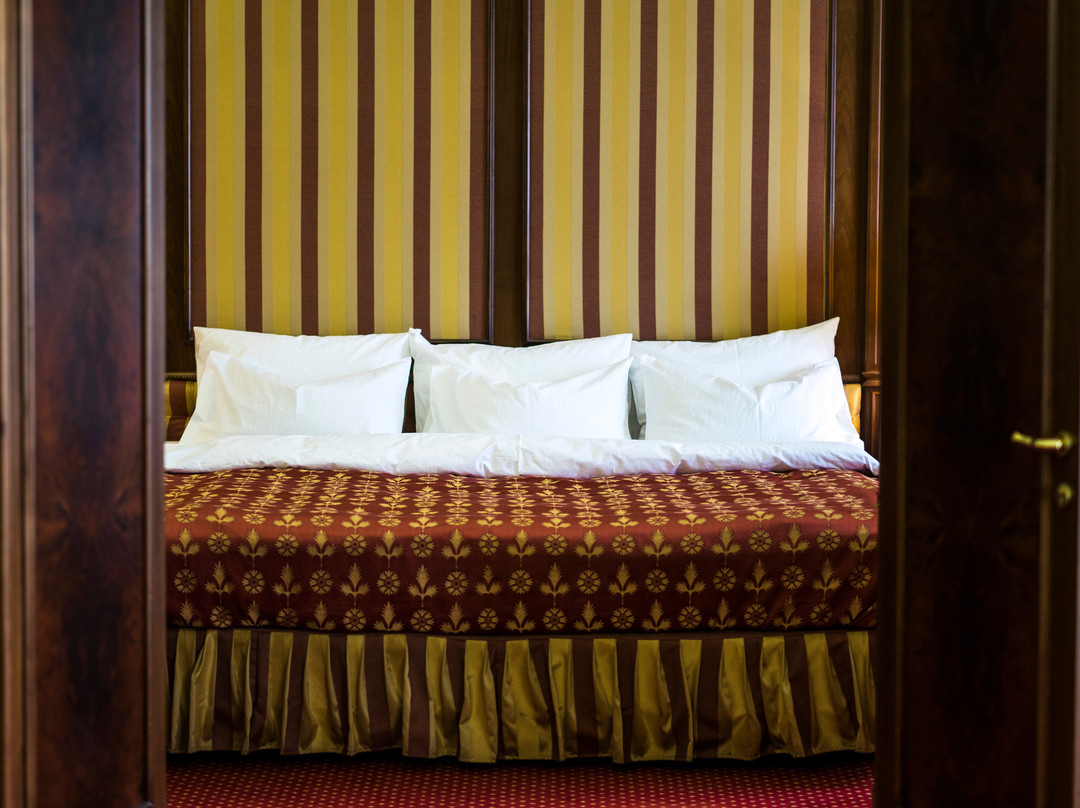 Hotel Belvedere Braila主图