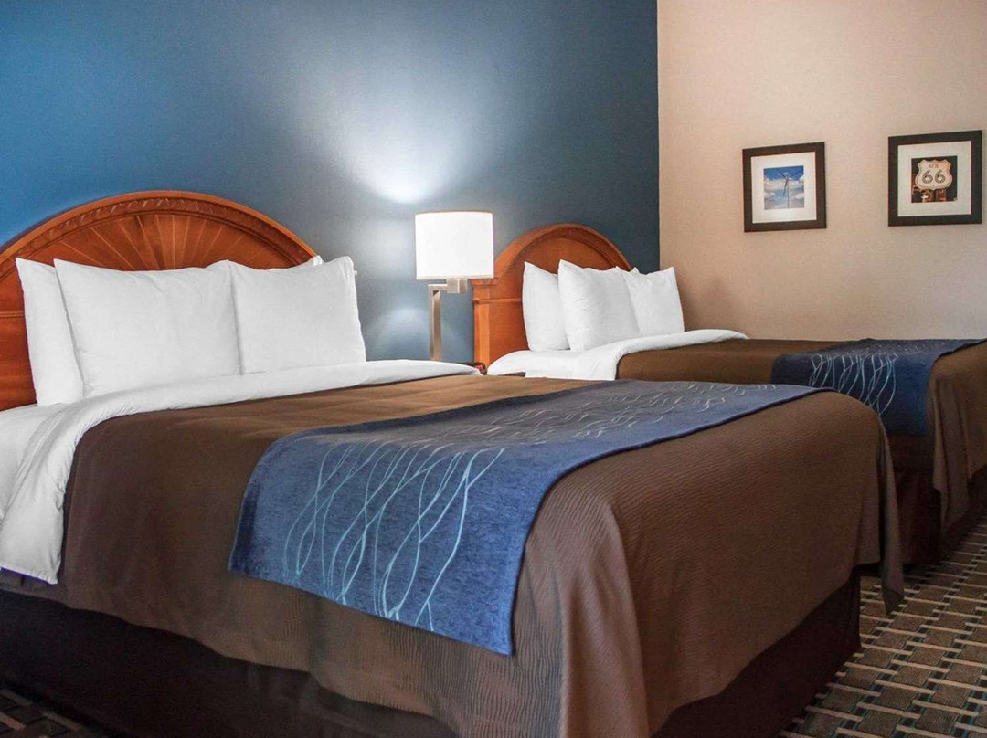 Comfort Inn & Suites主图