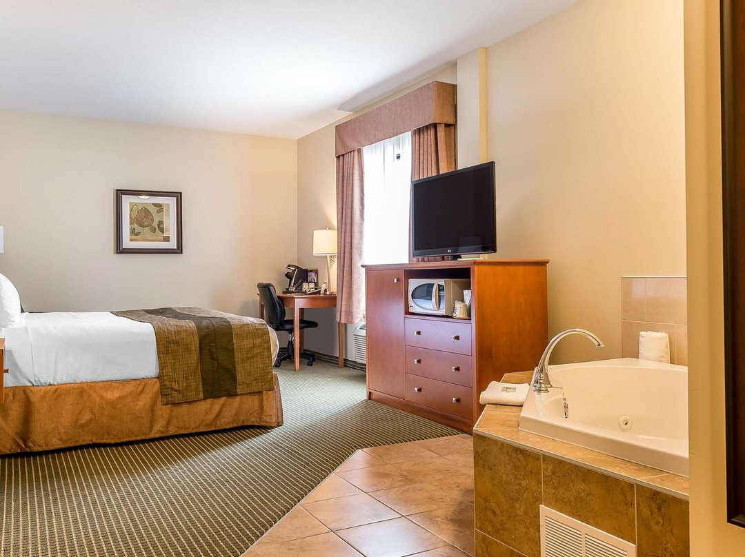 Quality Inn & Suites主图