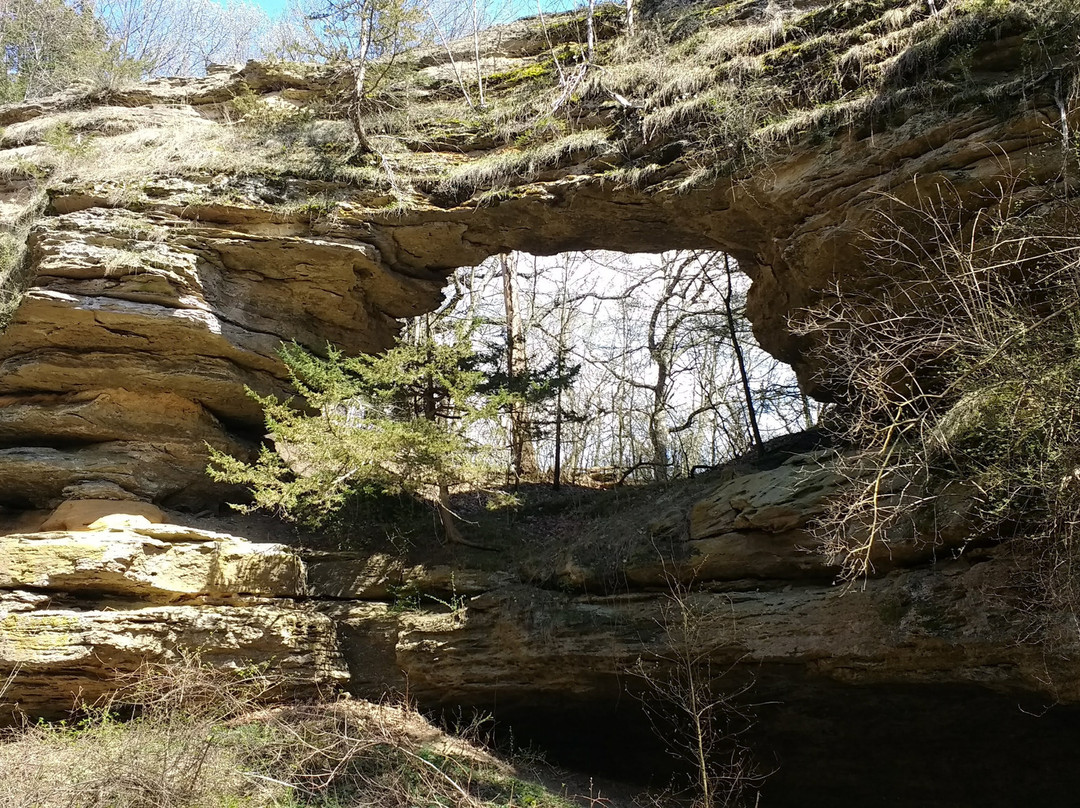 Natural Bridge State Park景点图片
