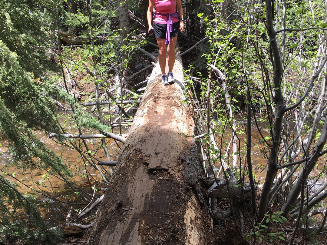 Hunter Creek Trail景点图片