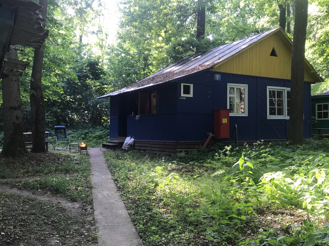 Bolsunovo旅游攻略图片