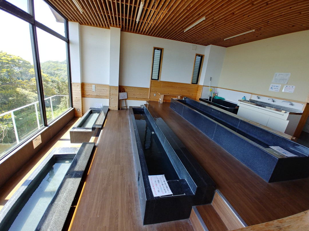 Hakusan Domon Lookout Manjiro Ashiyu-土佐清水市必去景点