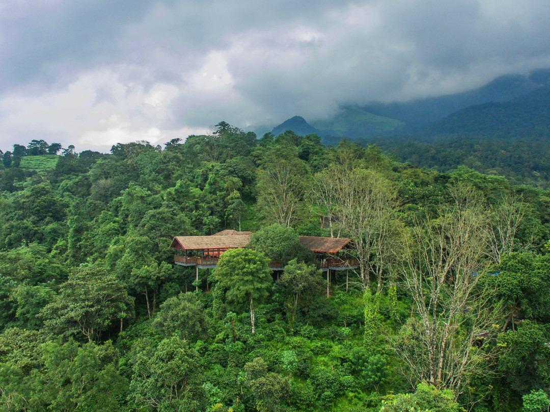 Vythiri Mist Resort主图