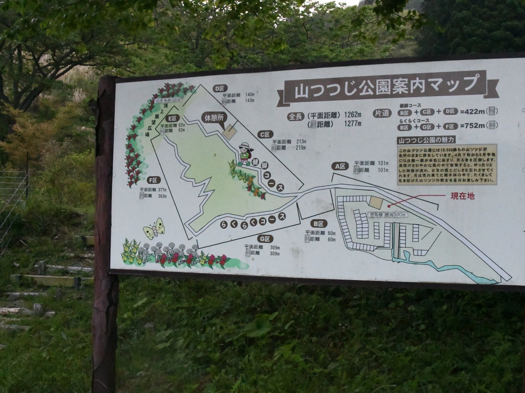 Chogaharayama Azelea park景点图片