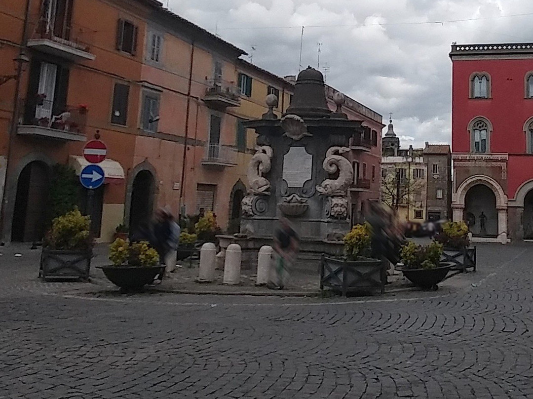 Fontana dei Delfini景点图片