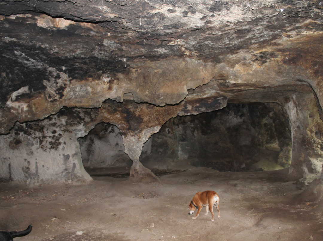 Grotte di San Lorenzo景点图片