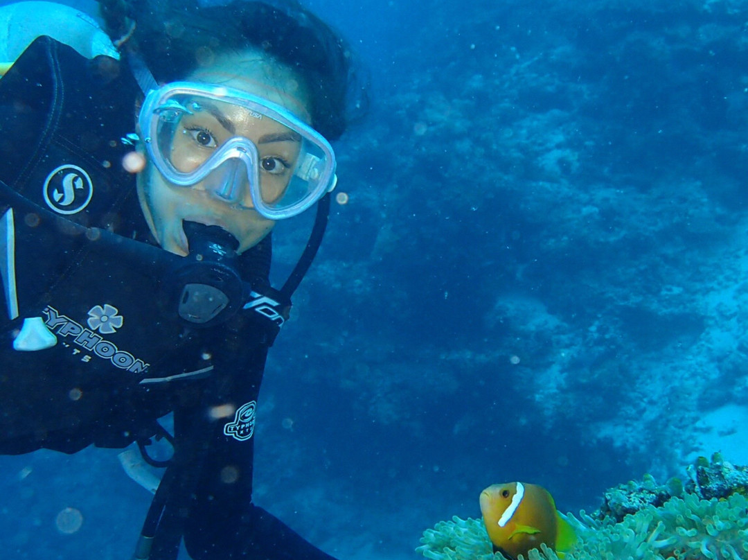 DiveOceanus-欢乐岛必去景点