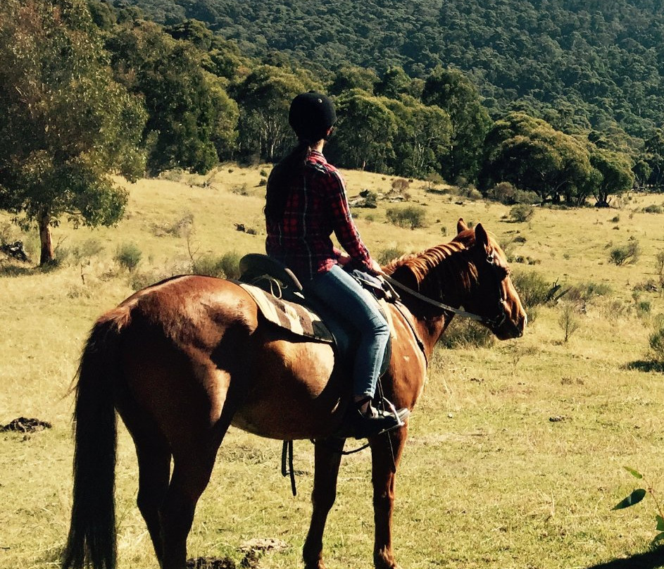 Horse Riding at Pender Lea-Crackenback必去景点