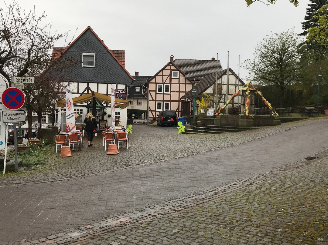 Bad Zwesten旅游攻略图片