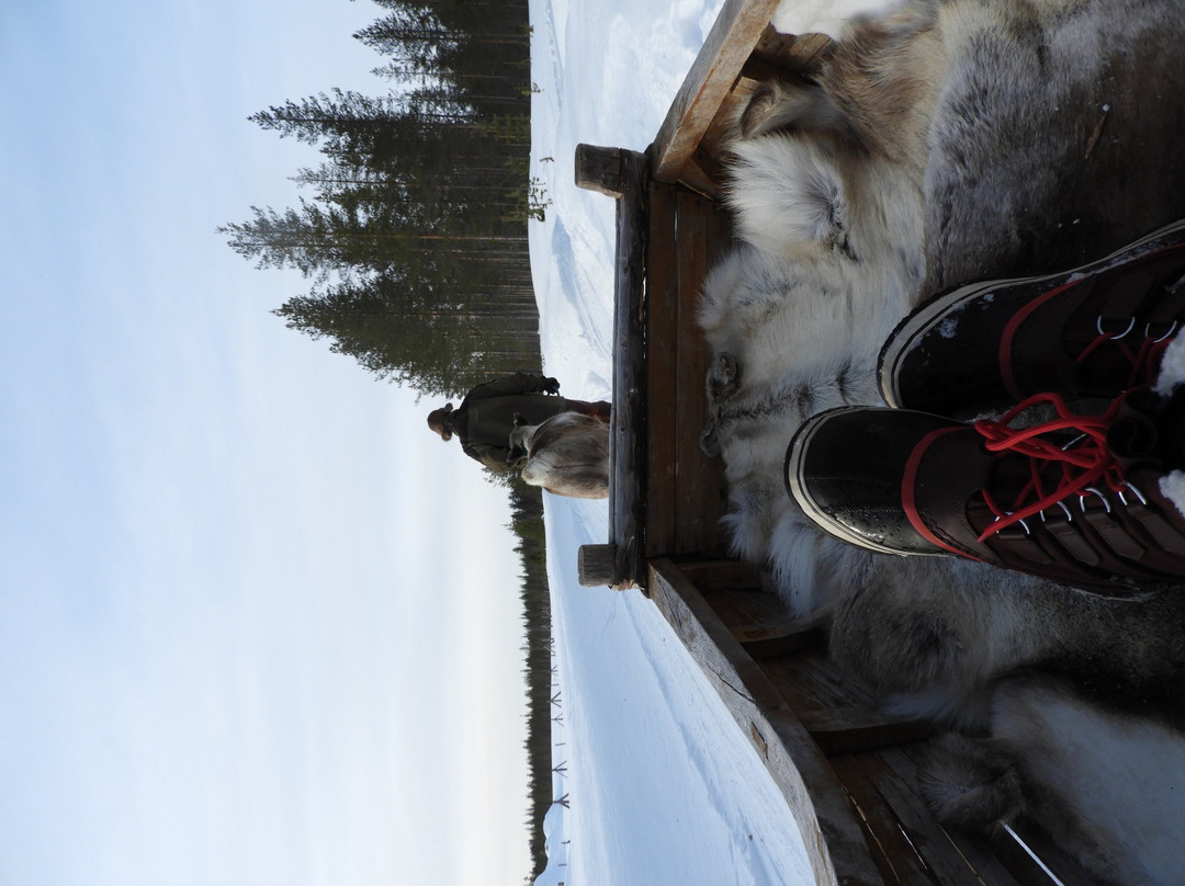 Orbas Reindeer Farm-罗瓦涅米必去景点