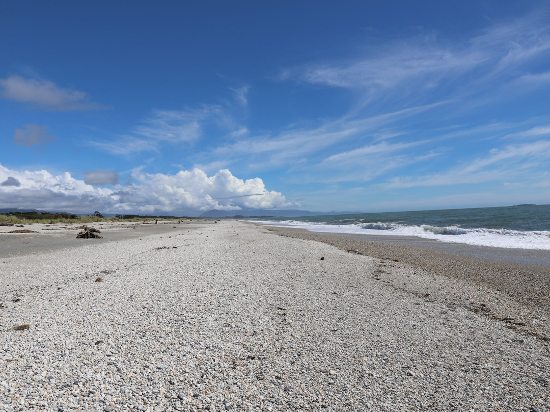 Haast Beach Motel主图