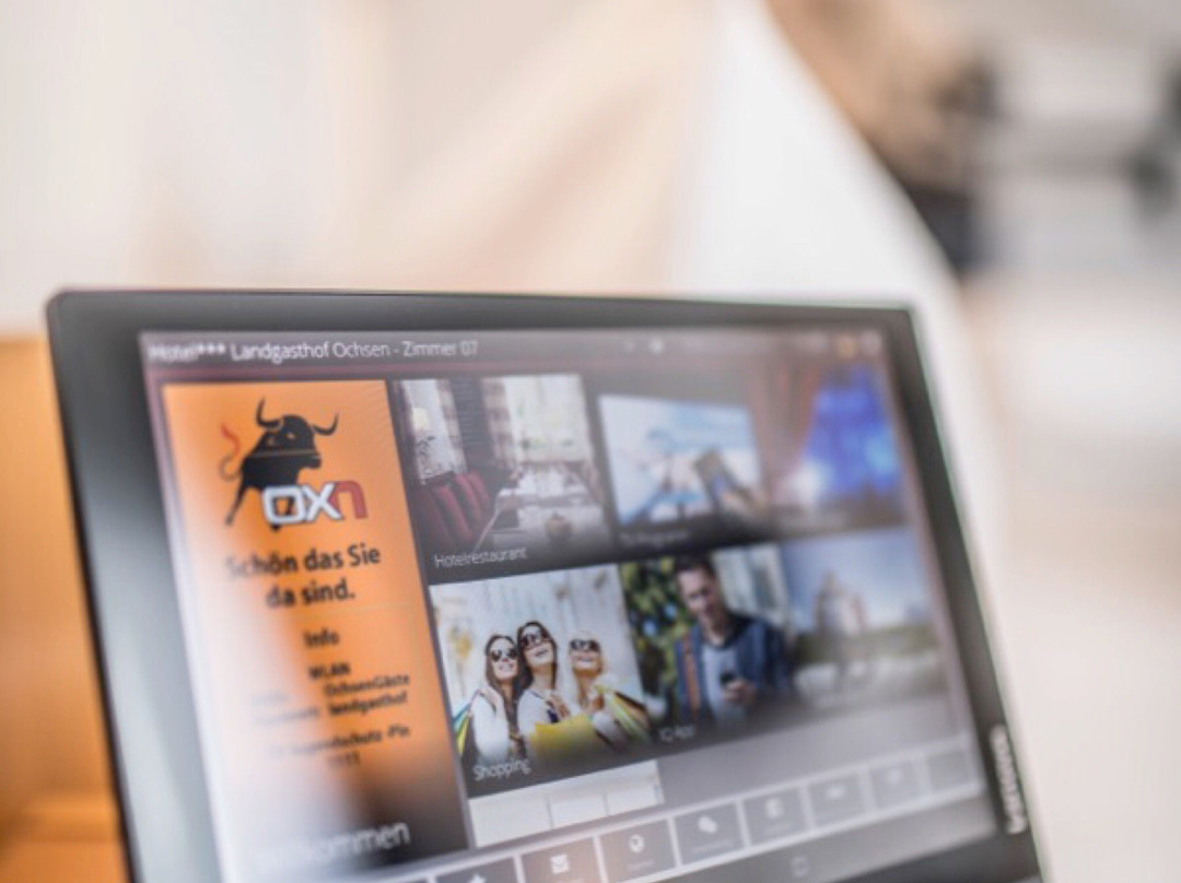 Hotel*** Restaurant Ochsen Sinzheim主图