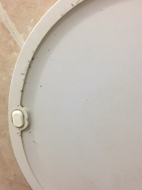 Umdloti Letting & Sales主图