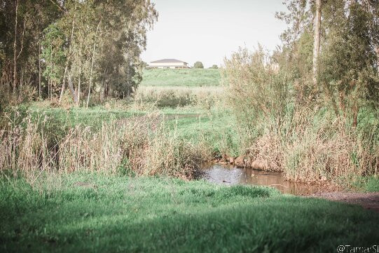 Merkavot Hayarden-Afikim必去景点