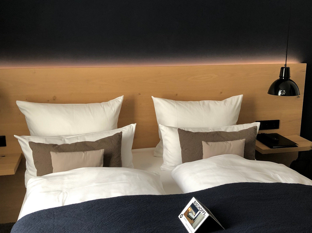 Bischoffs Hotel主图