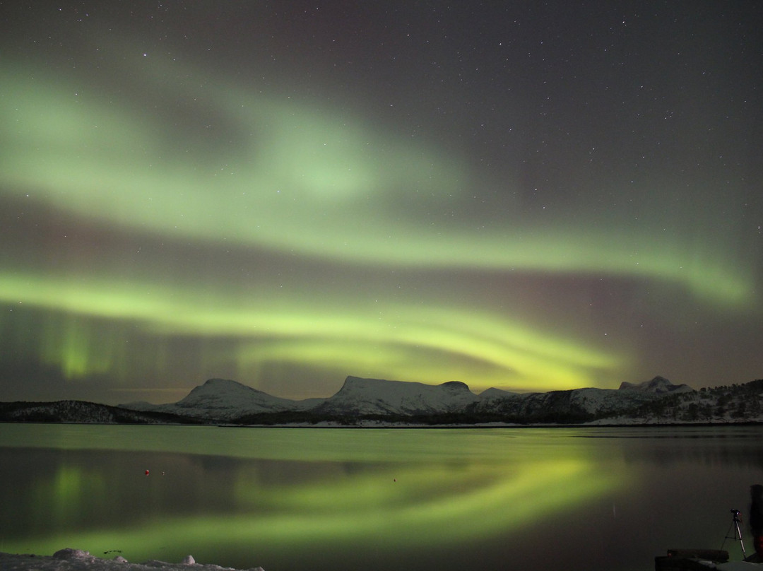 Arctic Ventures AS-Tysfjord必去景点