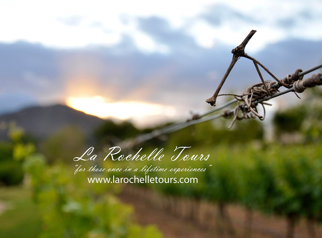 La Rochelle Wine Tours景点图片